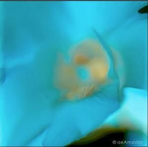 Meet your Posher, Becca